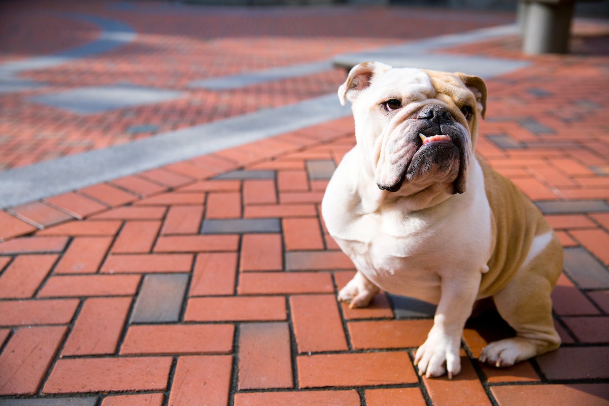 Lab Calendar Department of Linguistics University