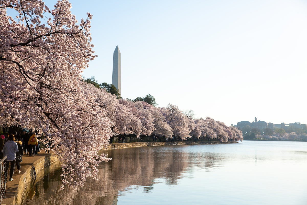 Career Paths For Linguists Department Of Linguistics Georgetown 